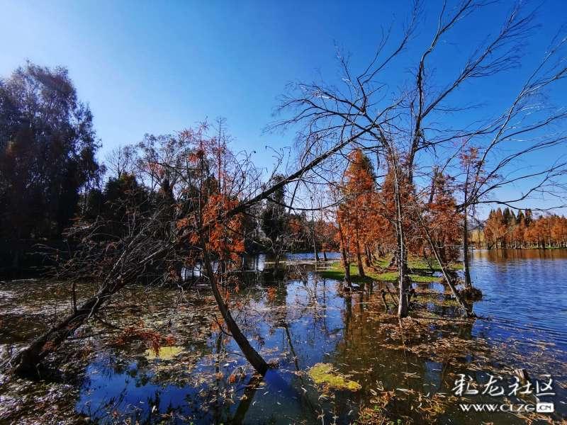 江西通报4起行贿犯罪典型案：颜赣辉重返宜春主政后，行贿的旧部又升了